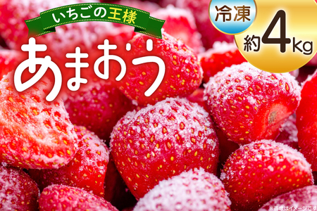 いちご 冷凍 あまおう 約4kg [mhshops 福岡県 筑紫野市 21761025]