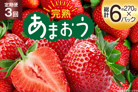 【期間限定発送】 いちご 3回 定期便 福岡県産 完熟 博多 あまおう 270g 2p 総計6p [mhshops 福岡県 筑紫野市 21761226]