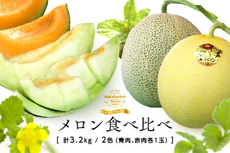 【2026年発送】中富良野産メロン赤肉・青肉　各1玉（1.6kg）【BQ-006】