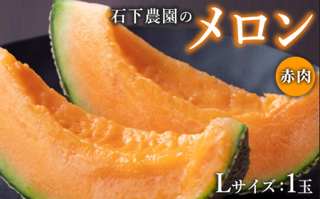 【先行予約】石下農園のクインシーメロン 赤肉 Lサイズ 1玉 ｜ 果物 くだもの フルーツ メロン 国産 クインシーメロン 赤肉 赤肉メロン 旬 期間限定 季節限定 夏季限定 産地直送 栃木県 芳賀町※2026年5月下旬頃～6月下旬頃に順次発送予定※離島への配送不可