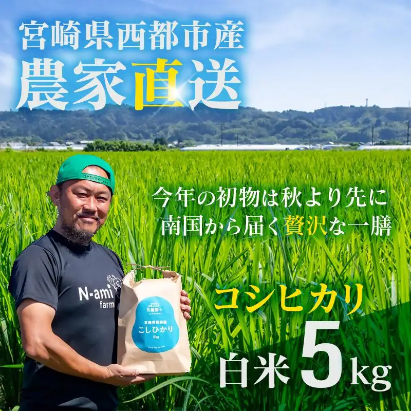 【令和8年産新米・先行予約】農家直送　こしひかり 5kg  精米済み 8月より発送開始＜57-1a＞