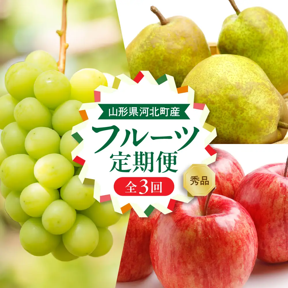 定期便 3回 山形フルーツ マスカット 洋梨 サンフジ 定期便 フルーツ