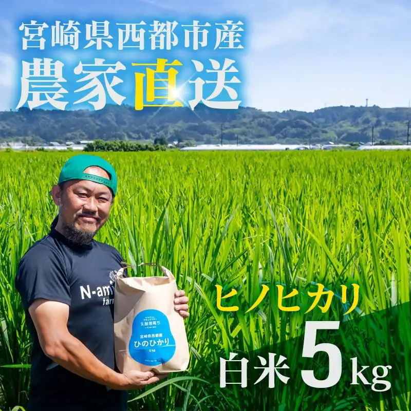 【令和8年産新米・先行予約】農家直送 ヒノヒカリ 5kg 精米済み 10月より発送開始＜57-2a＞