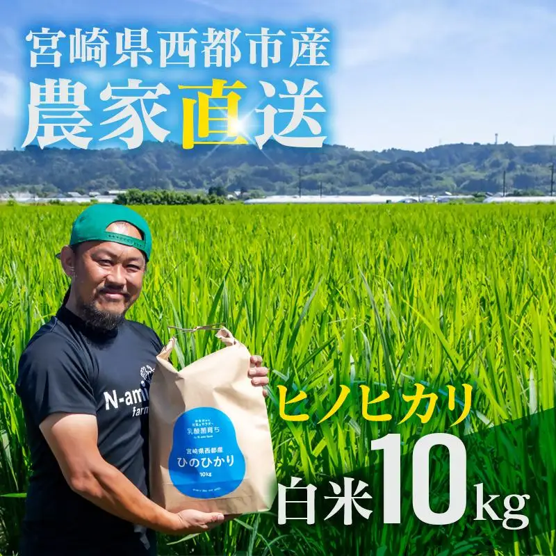 【令和8年産新米・先行予約】農家直送 ヒノヒカリ 10kg 精米済み 10月より発送開始＜57-4a＞