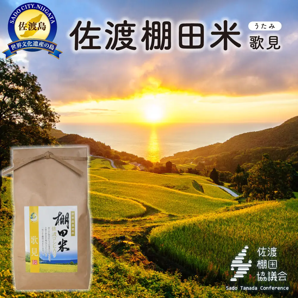佐渡島産コシヒカリ 歌見棚田米 白米4Kg（2Kg×2袋）【令和7年産】