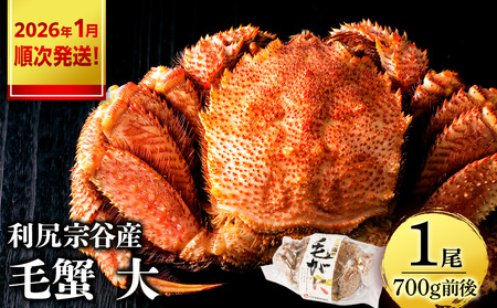 【2026年1月発送】 利尻島産 毛ガニ 大サイズ （700g前後）1尾＜利尻漁業協同組合＞