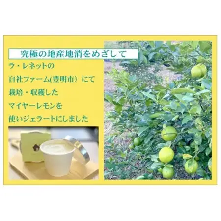 はちみつレモンシャーベット 90ml×6個【配送不可地域：離島】【1635821】