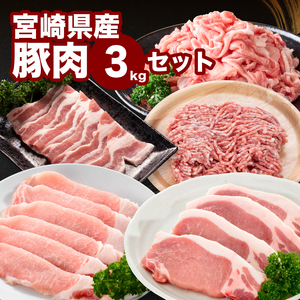 宮崎県産豚肉３kgセット K65_0010