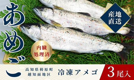 四万十川源流域の清流で育ったゆすはらアメゴ（３匹入り）　アメゴ アマゴ 四万十川 清流 手作業 急速冷凍 川魚 養殖 新鮮 塩焼き　ICT デジタル化