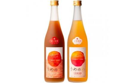 【紀州完熟南高梅使用】濃厚「ねり梅酒」と芳醇「梅酒」各720mlの飲み比べ / 梅酒 梅 紀州梅酒 南高梅 うめ 梅干し お酒 酒 うめ酒 飲み比べ【tecj1003A】