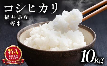 コシヒカリ 10kg [101-a201]