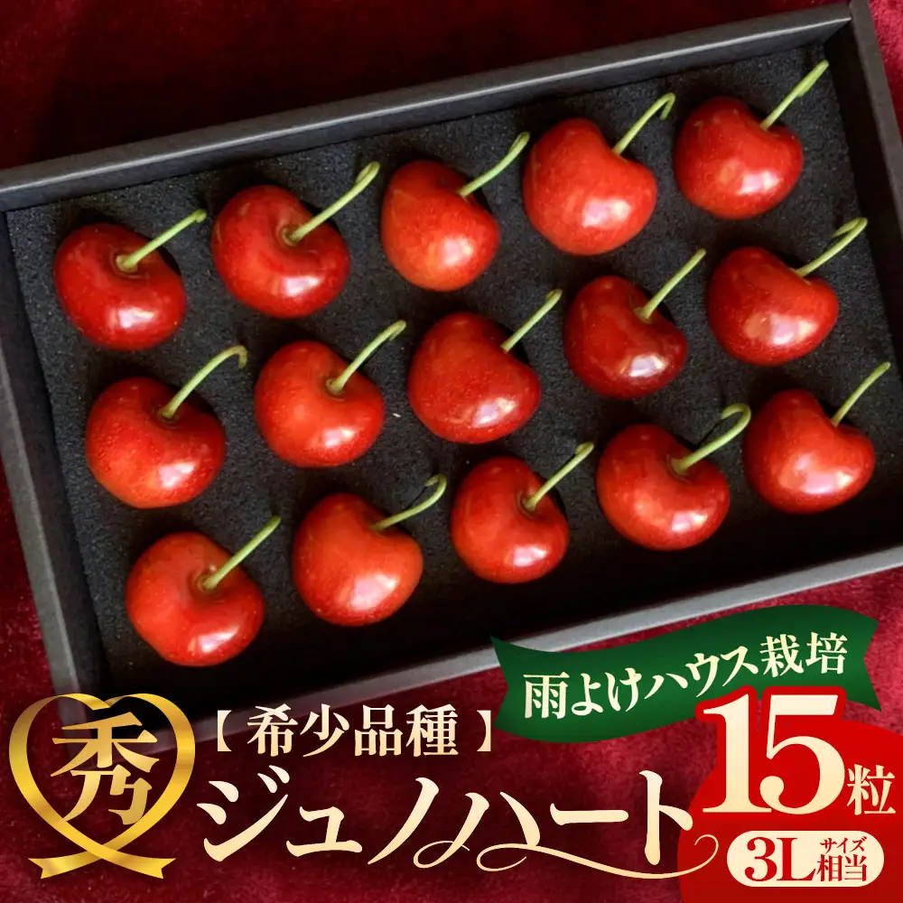 高級さくらんぼ「ジュノハート」（3L相当以上・15粒） 化粧箱入り 