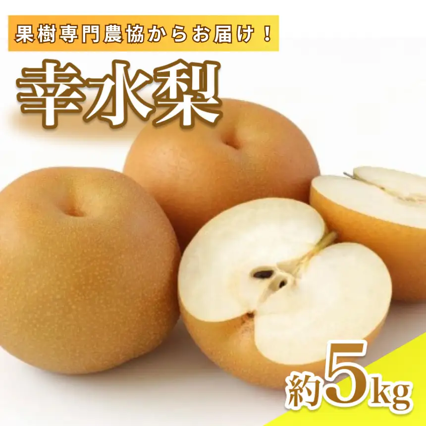 【8月中旬より発送予定】南信州産「幸水梨」約5kg 12～16玉 糖度11.0以上｜長野県 飯田市