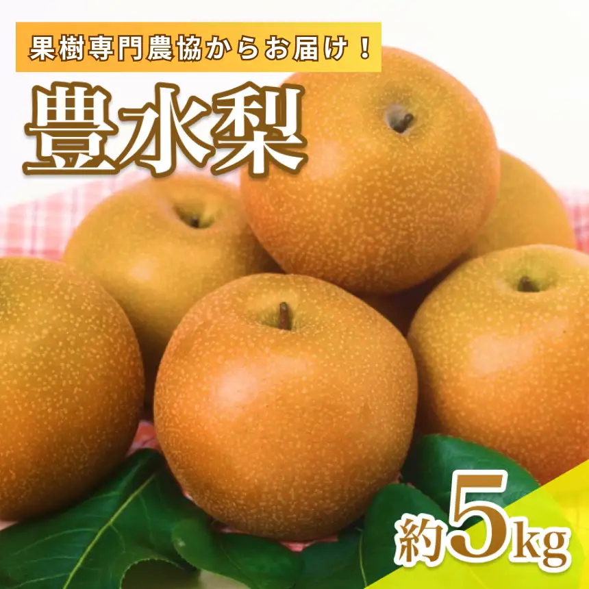 【9月上旬から発送予定】南信州産 「豊水梨」 約5kg 12～16玉 糖度11.0以上｜長野県 飯田市