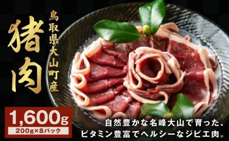 GB-04　猪肉モモ 1.6kg