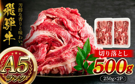 A5等級 飛騨牛 切り落とし 500g (250g×2P) 瑞浪市 / マルチョウ渡辺精肉店 牛肉 和牛 国産 ギフト お取り寄せ [AZCW001]