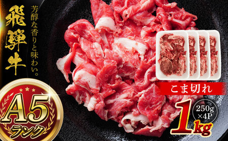 A5等級 飛騨牛 こま切れ 1kg (250g×4P) 瑞浪市 / マルチョウ渡辺精肉店 牛肉 和牛 国産 ギフト お取り寄せ [AZCW004]