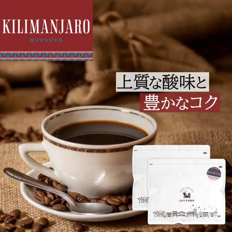 とびだす焙煎所 キリマンジャロ 500g（250g×2袋） 【粉】