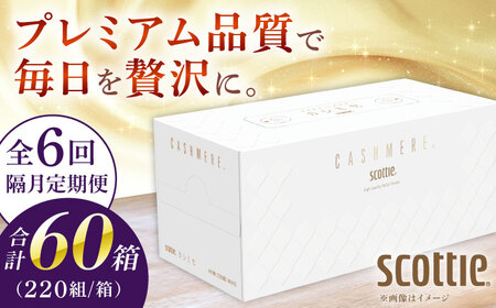 【全6回定期便(2ヵ月に1回)】カシミヤ スコッティ 10箱 ティッシュ ペーパー ティッシュペーパー [BDAM034]