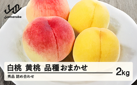 【先行予約】 もも 白桃 有袋黄桃 秀品 詰め合わせ 品種おまかせ 2kg フルーツ 化粧箱入 果物 アソート 詰合せ 2026年産 令和8年産 山形県産 桃 黄桃 モモ 送料無料 ※沖縄・離島への配送不可ns-mohot2