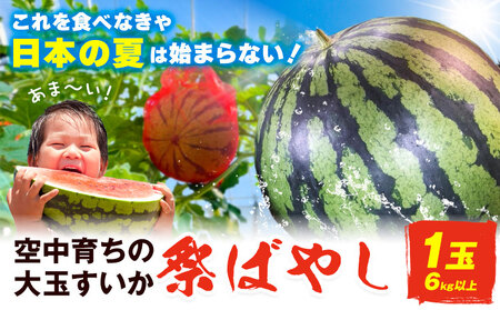 すいか 大玉すいか 祭ばやし 1玉
