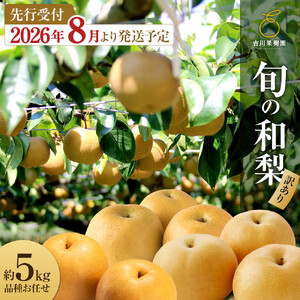 【2026年発送分先行予約】(訳あり) 旬の和梨　約５kg【吉川果樹園】 ｜ 梨 フルーツ くだもの 宮城県角田市 