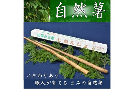 さくらブランド認証品　えみの自然薯　2本（1kg以上）山芋 とろろ 国産 健康 ※2025年11月下旬頃より順次発送予定