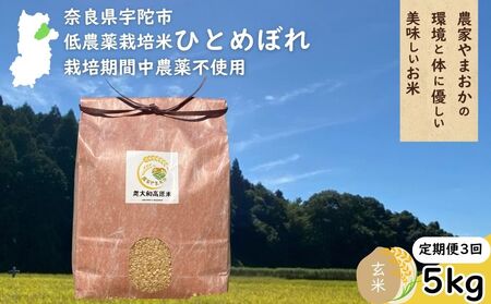 【定期便3回】ひとめぼれ 低農薬栽培＜令和7年産 玄米 5kg ＞ / ふるさと納税 低農薬 米 お米 こめ コメ 国産 新米 玄米 一等米 農家やまおか 奈良県 宇陀市陀市 ふるさと納税