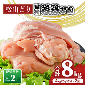 【定期便2回】松山どり むね肉 2kg×2パック×2回 計8kg 鶏肉鶏肉鶏肉【BJ015】