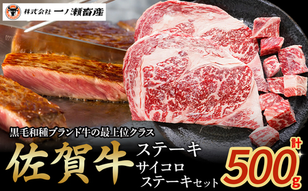 佐賀牛ステーキ・サイコロステーキセット　牛肉 肉 牛 佐賀牛 ブランド牛 黒毛和牛 ステーキ サイコロステーキ セット 国産 国産牛 冷凍 佐賀県 太良町 PE4