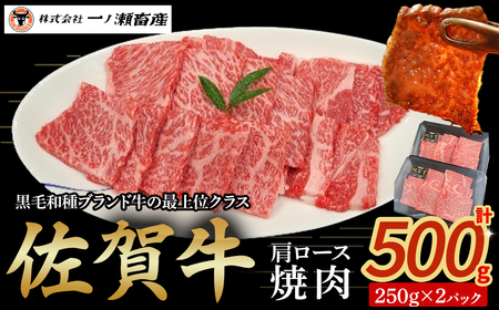 佐賀牛肩ロース焼肉 250g×2パック　牛肉 肉 牛 佐賀牛 ブランド牛 黒毛和牛 肩ロース 焼肉 焼き肉 BBQ バーベキュー 国産 国産牛 冷凍 佐賀県 太良町 OD5