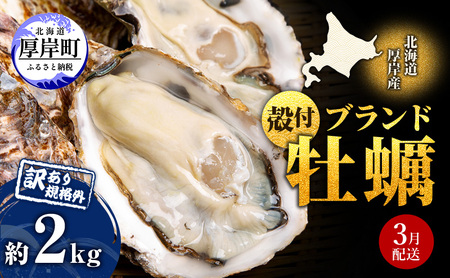 3月配送 訳あり ハーフ 規格外 牡蠣 北海道厚岸産 殻付カキ 約2kg（11～25個）カキナイフ付 生食 魚貝類 生牡蠣 かき 生カキ カキフライ マルえもん いびつな形 四季によって違う味わい コクがあり濃厚