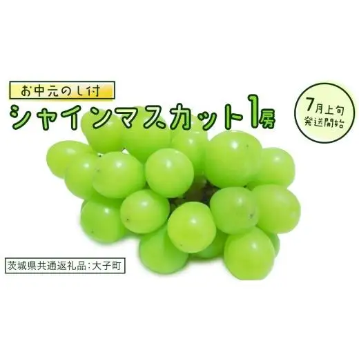 【 お中元 熨斗付き】 シャインマスカット １房 【2026年7月上旬発送開始】(茨城県共通返礼品：大子町) 