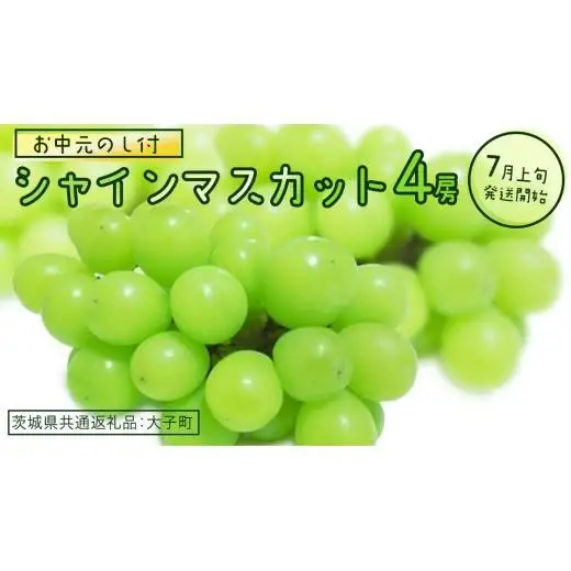 【 お中元 熨斗付き】 シャインマスカット ４房 【2026年7月上旬発送開始】(茨城県共通返礼品：大子町) 