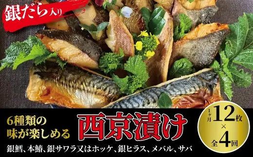 【定期便】ミックス盛・Jr　4か月