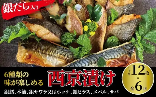 【定期便】ミックス盛・Jr　6か月