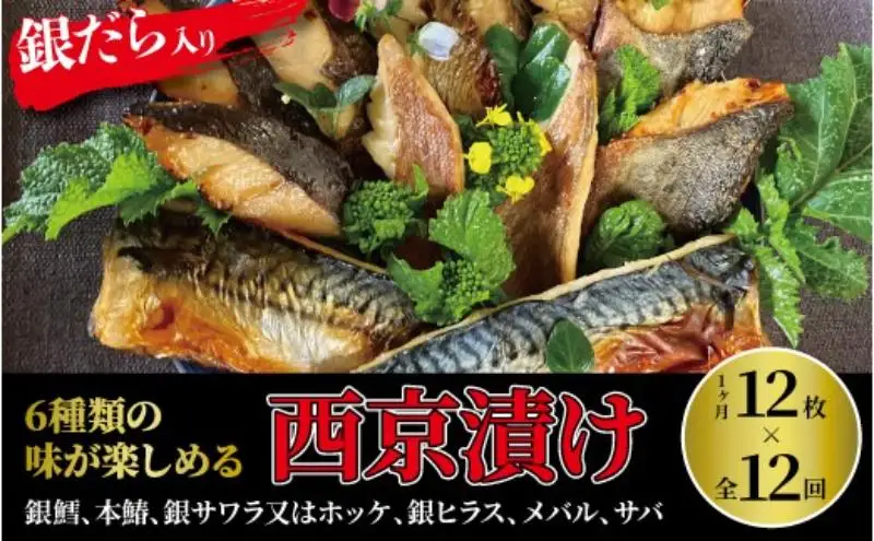 【定期便】ミックス盛・Jr　12か月