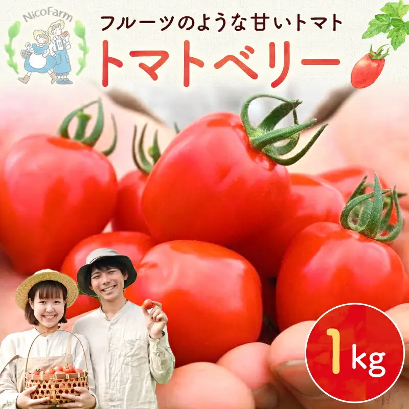 【先行予約：2026年7月下旬頃より発送】NicoFarm トマトベリー（ミニトマト）1Kg_ Y124-0011