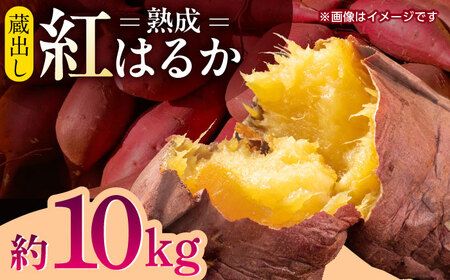 熟成紅はるか約10kg サイズバラバラ さつまいも密芋サツマイモ ZCN019