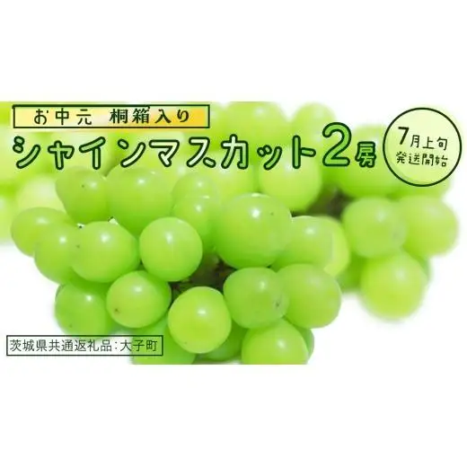【 お中元 桐箱入り】 シャインマスカット ２房 【2026年7月上旬発送開始】(茨城県共通返礼品：大子町)