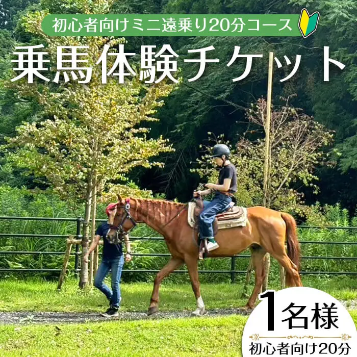 【乗馬 体験 チケット】ミニ 遠乗り 20分～初心者 向け、5歳 以上～(1名様)【曽於市観光協会】 A783