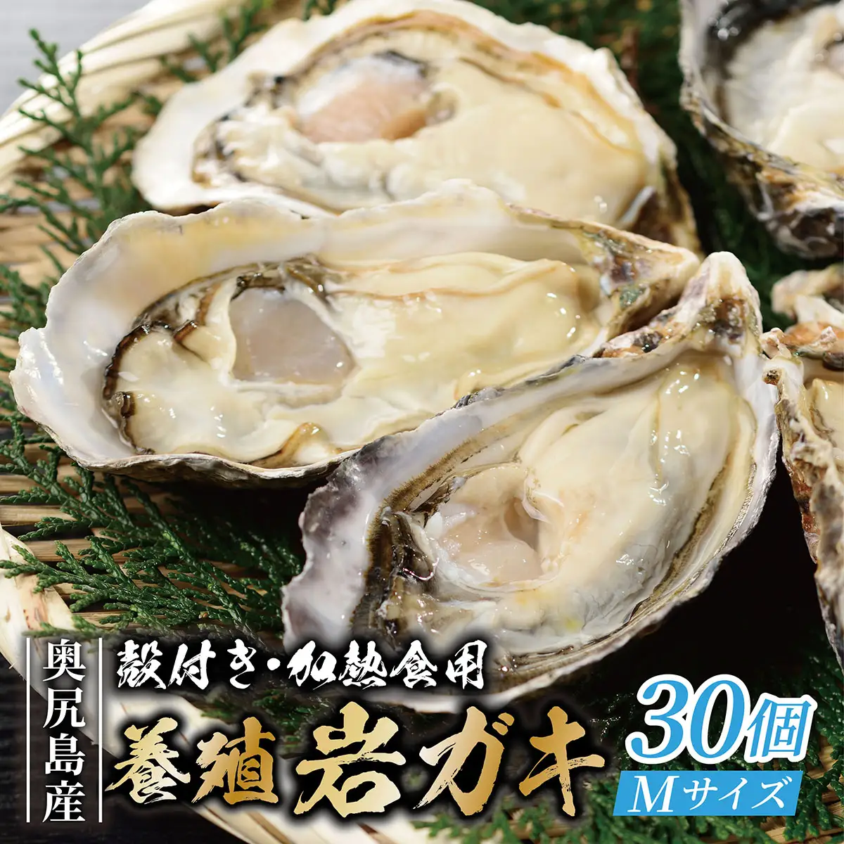 【先行予約 2025年7月20日より発送】奥尻島産養殖岩ガキ【Mサイズ】殻付き　30個入り（加熱食用）～豊かな海が育てた海の宝石～ 
