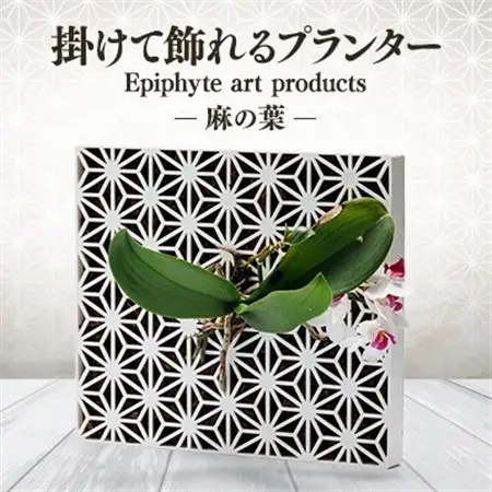 Epiphyte　Art　Products　麻の葉　L　白【1632290】