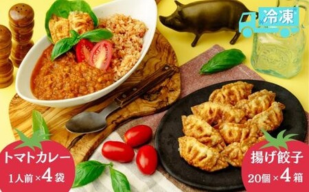 餃子 揚げ餃子 80個 北本トマトカレーセット | ぎょうざ 冷凍 北本フーズ