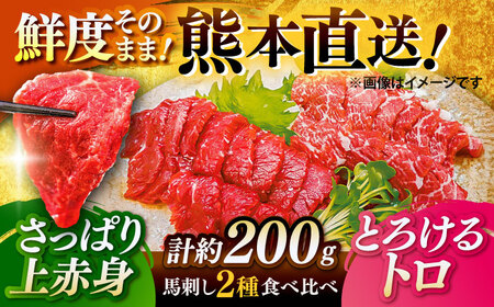 馬刺し2点盛り計約200g 馬刺し醤油 BHAC001