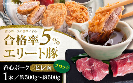 ヒレ ブロック 1本 約500から600g ヒレ BHAH011