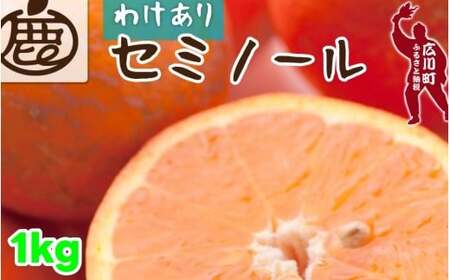 セミノール オレンジ 家庭用 1kg+250g（痛み補償分） 光センサー / みかん 甘い 訳あり 柑橘 晩柑 和歌山 有田 ※4月上旬～6月下旬ごろに順次発送 ※北海道・沖縄・離島への配送不可 【ikd016-c-1】