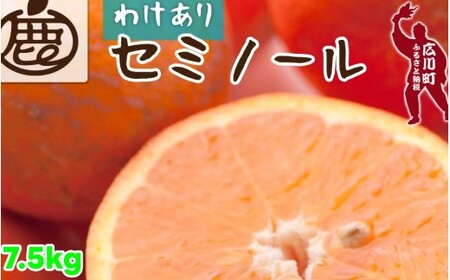 セミノール オレンジ 家庭用 7.5kg+250g（痛み補償分） 光センサー / みかん 甘い 訳あり 柑橘 晩柑 和歌山 有田 ※4月上旬～6月下旬ごろに順次発送 ※北海道・沖縄・離島への配送不可 【ikd016-c-7d5B】
