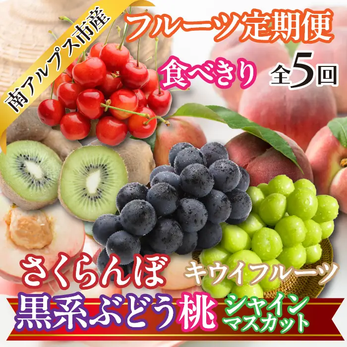 ★【食べきり】新鮮！旬のフルーツ5回定期便〈くだもの　フルーツ　さくらんぼ、桃、黒系ぶどう　ピオーネ　ブラックビート　ふじみのり　シャインマスカット　キウイフルーツ　新鮮　農家直送　産地直送　人気　山梨県　南アルプス市　〉 ALPAJ055　