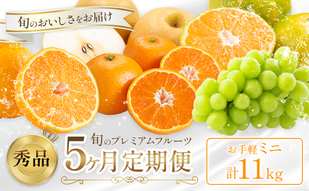 プレミアム フルーツ 定期便 5ヶ月連続 秀品 ミニ 計11kg 日本フルーツ株式会社《8月上旬-12月末頃出荷》熊本県 荒尾市 シャインマスカット おまかせ 梨 極早生みかん 温州みかん 葉付き 不知火 果物 フルーツ スイーツ デザート ギフト ご贈答